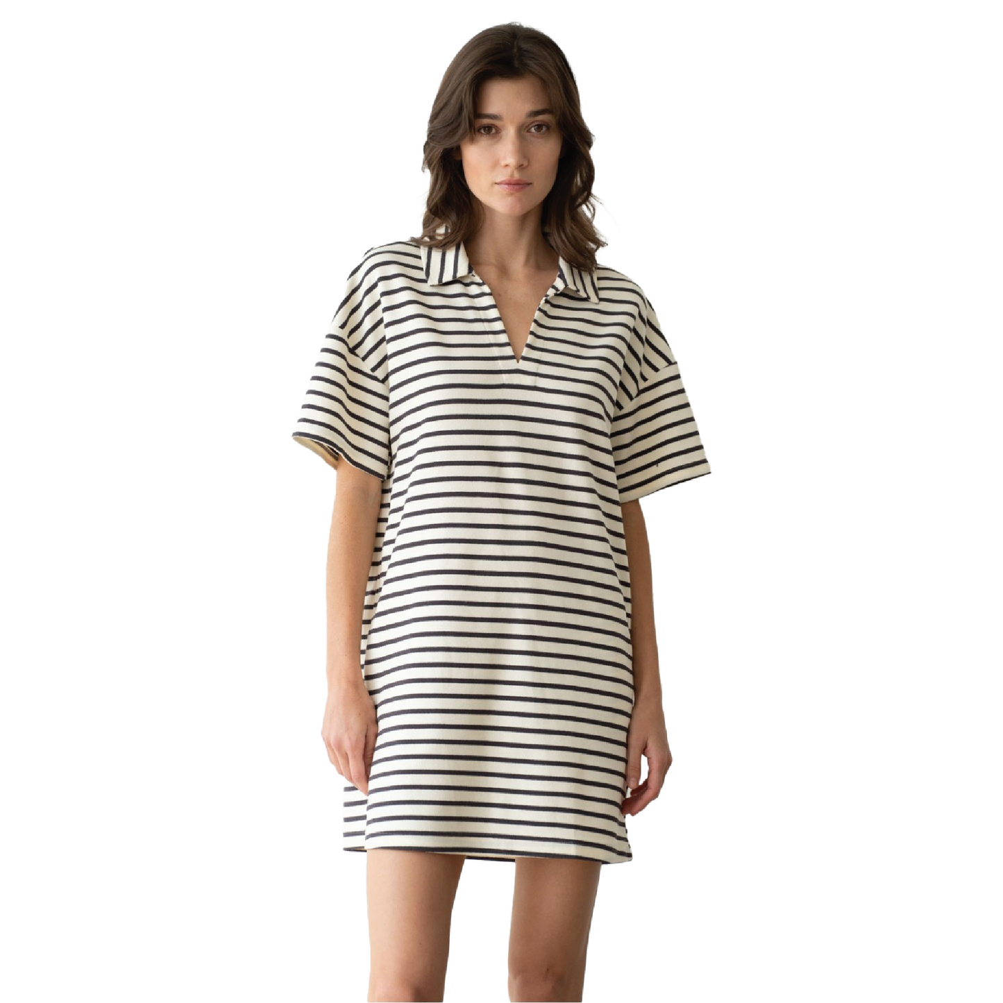 Collared V Neck Stripe Dress