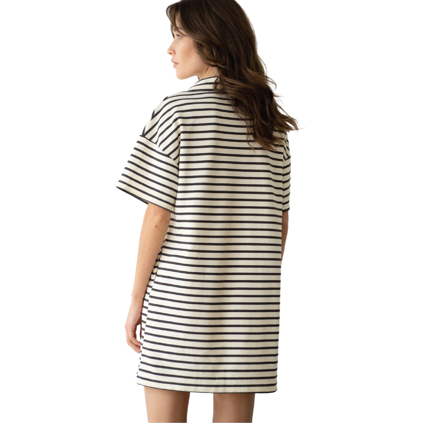 Collared V Neck Stripe Dress